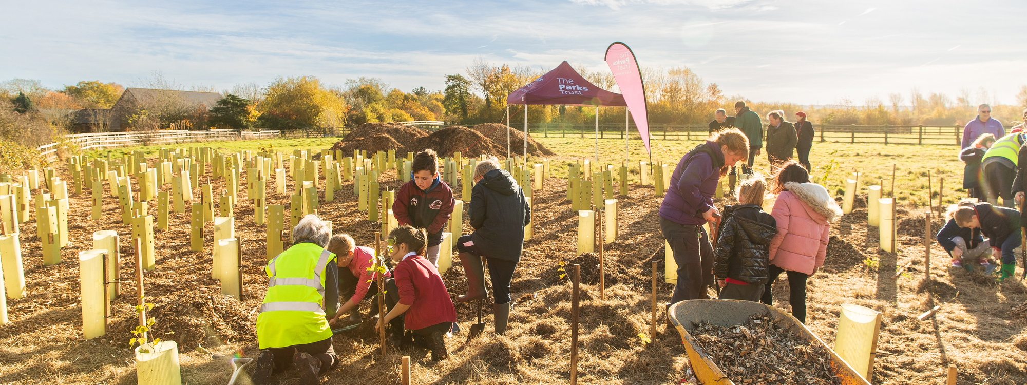A group of children and adults is in a grassy field, planting trees in the sun.