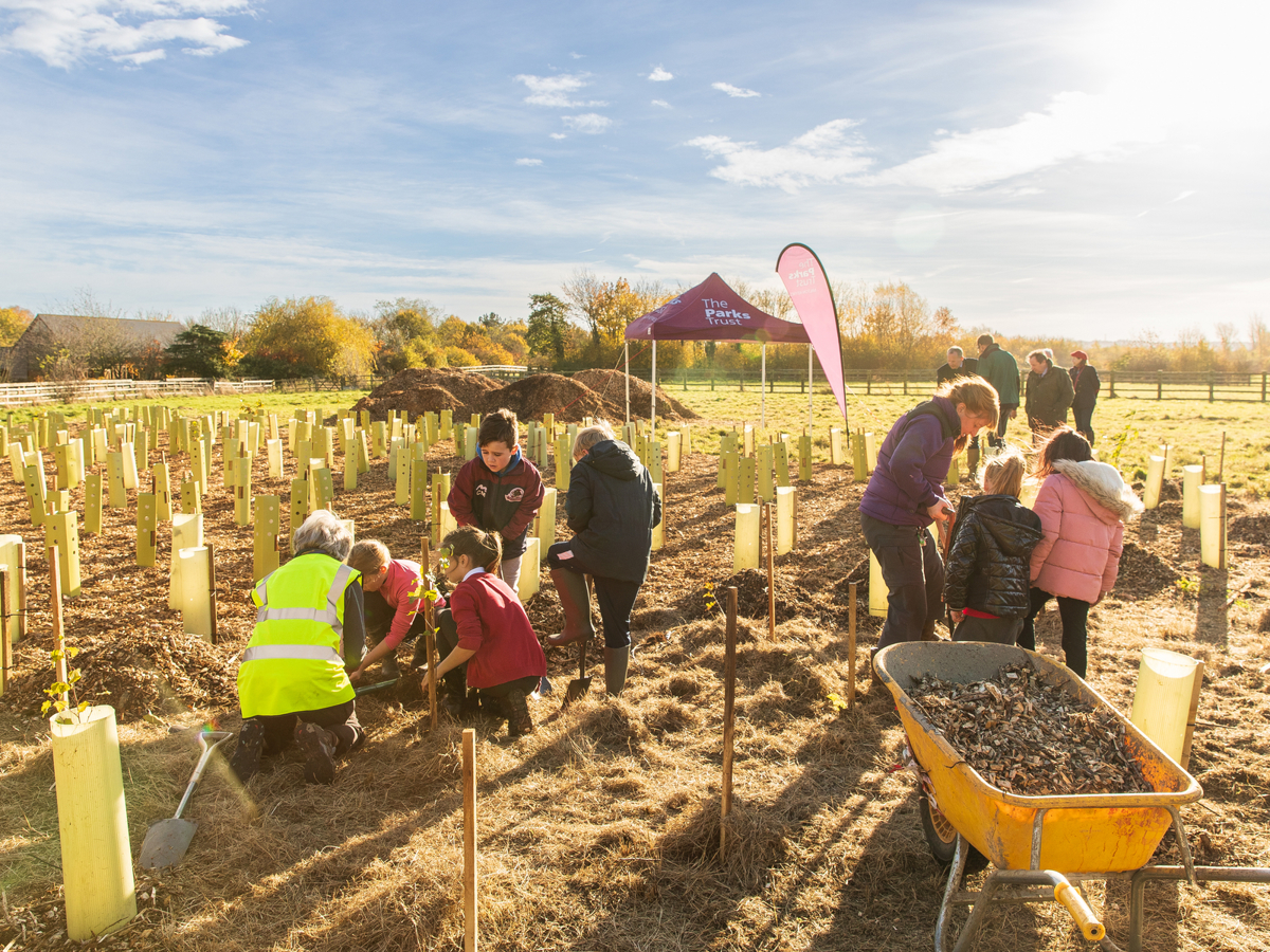 A group of children and adults is in a grassy field, planting trees in the sun.