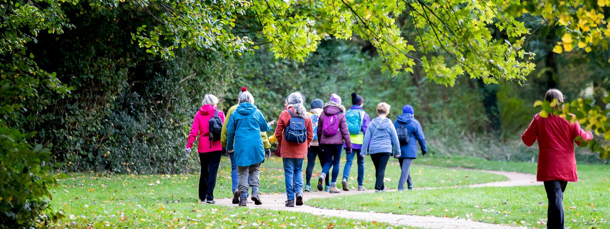 A group of women walking in a green parkland scene. 