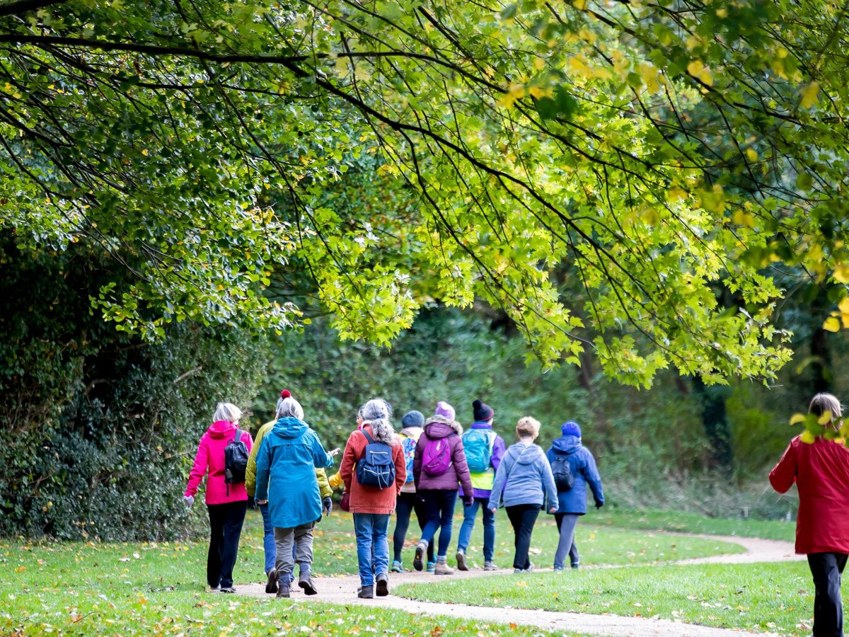 A group of women walking in a green parkland scene. 