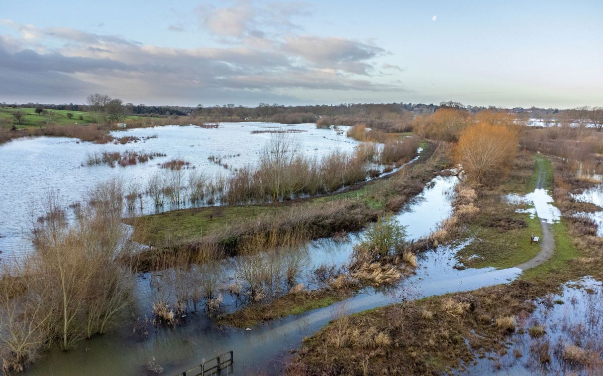 Floodplain Forest in Milton Keynes in flood
