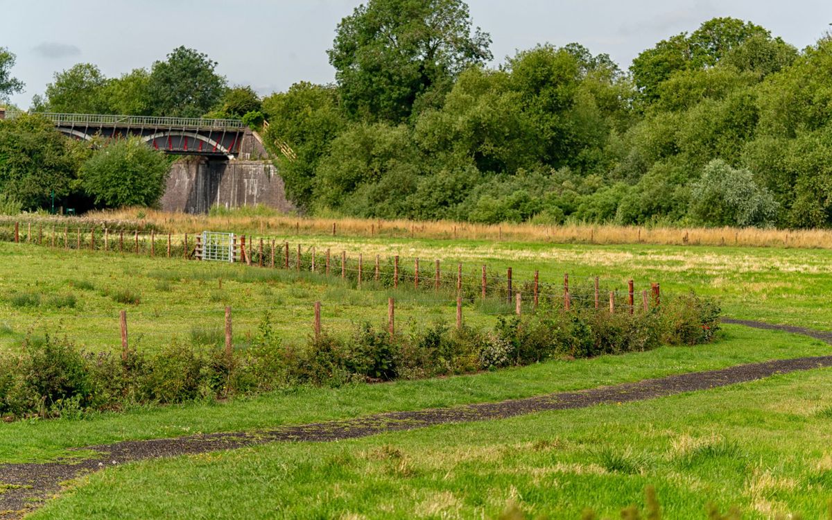 Iron trunk bridge at Floodplain Forest Nature Reserve