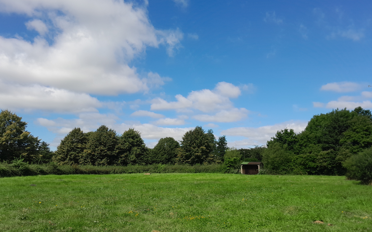 Paddock field with blue sky and a field shelter