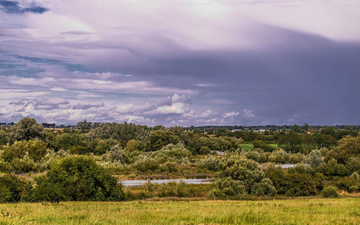 A lake surrounded by trees under a stormy sky.