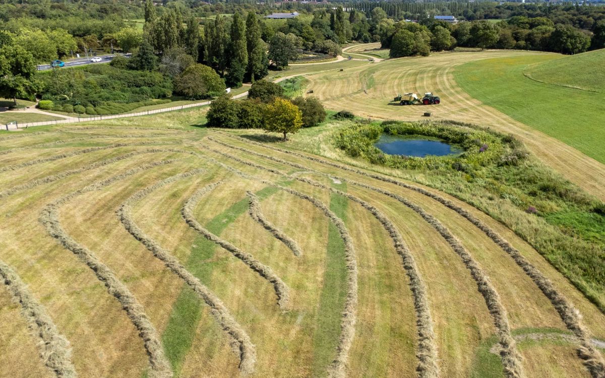 Tractor cutting hay in Campbell Park next to pond