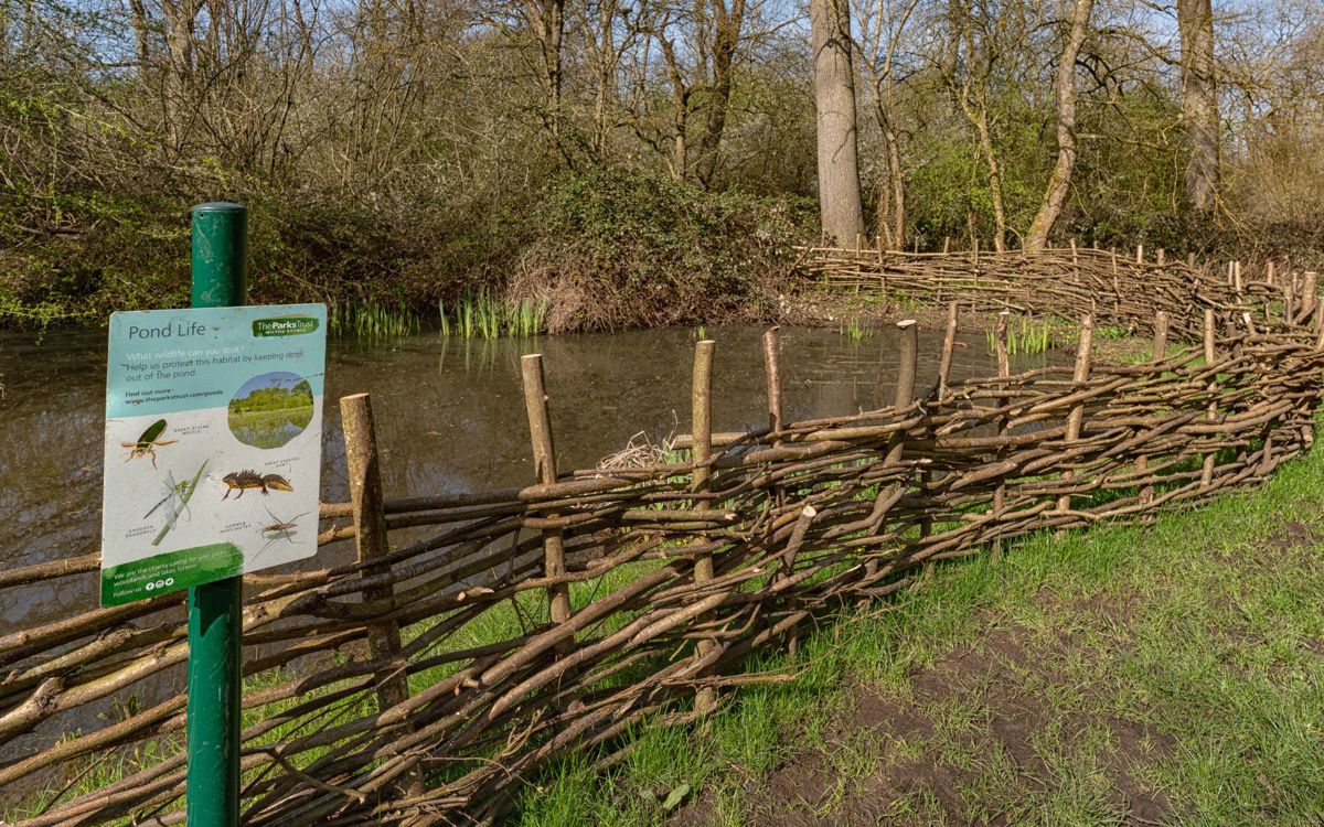Pond with signage and fencing in park