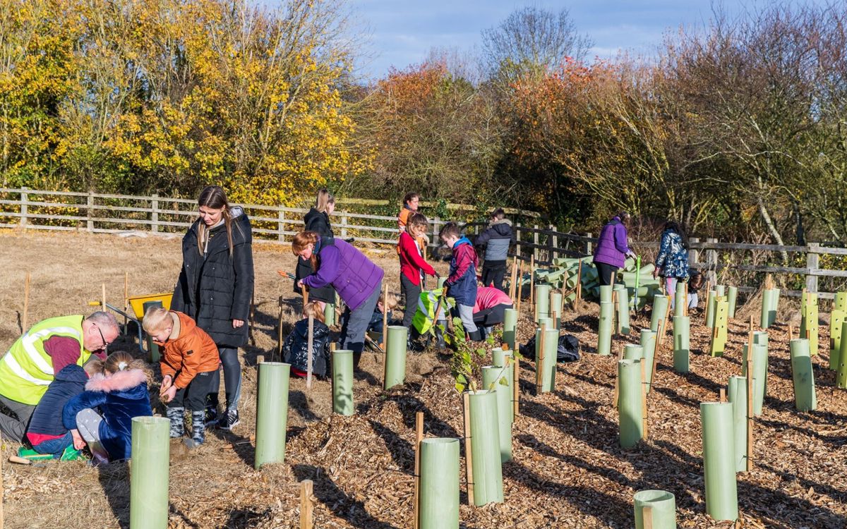 Children planting trees in a park