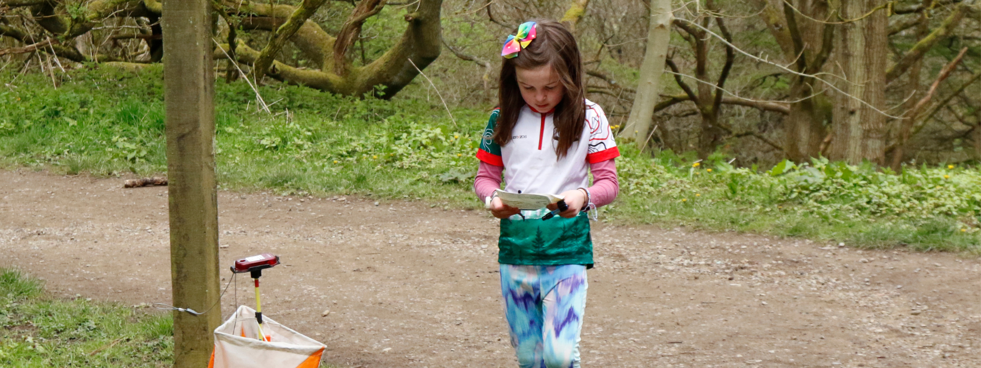 Young person reading an orienteering map in a woodland