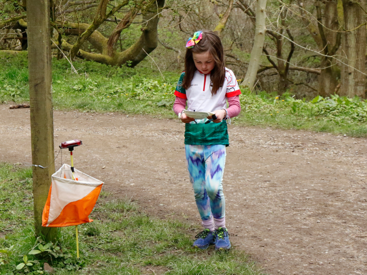 Young person reading an orienteering map in a woodland