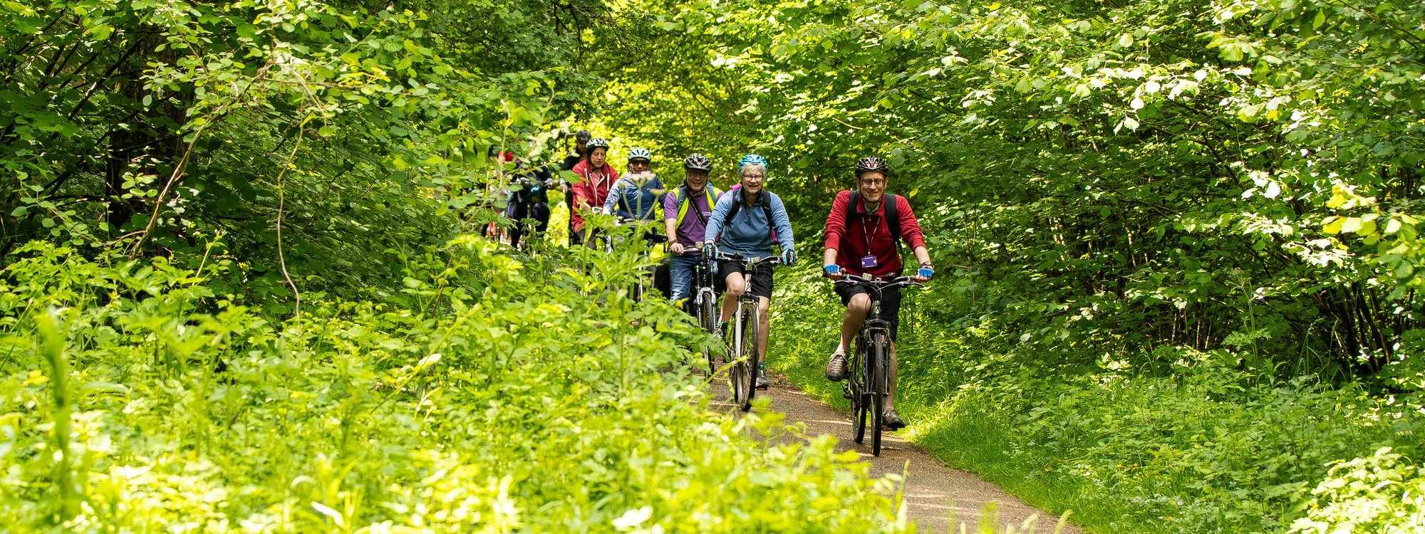 Cyclists in a woodland scene