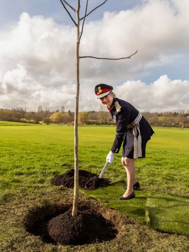 Coronation Tree Planting