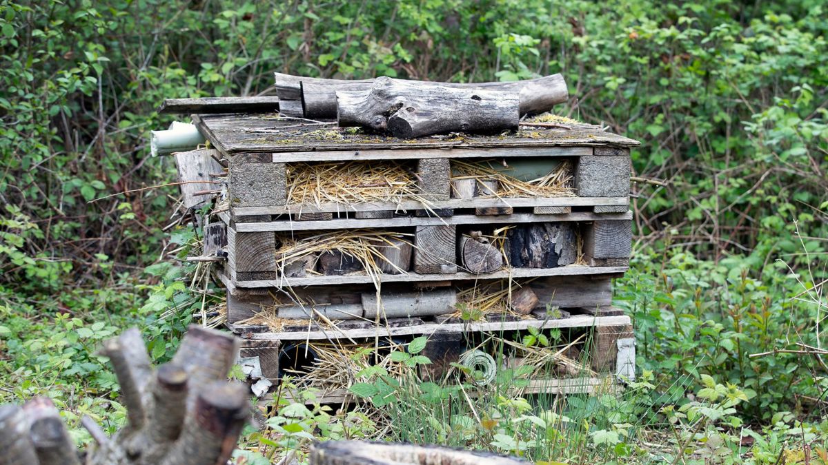 Bug hotel made of wood and bricks