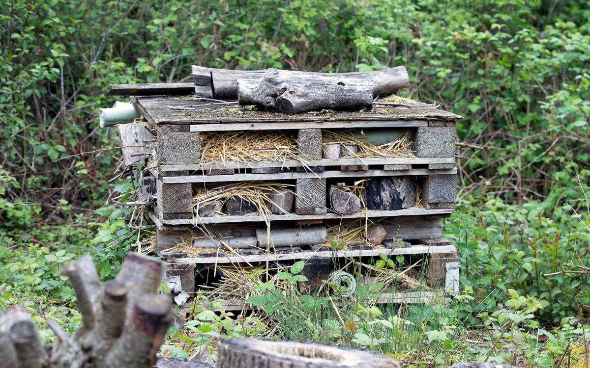 Bug hotel made of wood and bricks