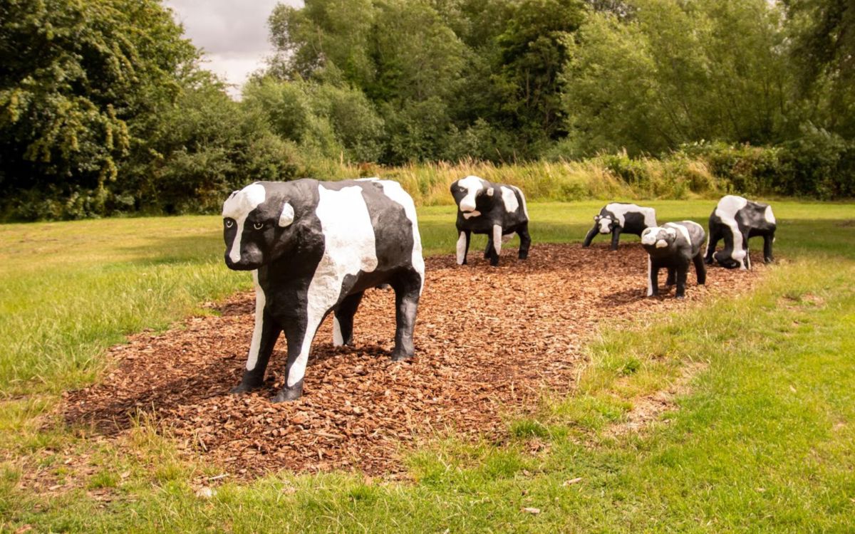 Cow sculptures on top of in woodchip in park