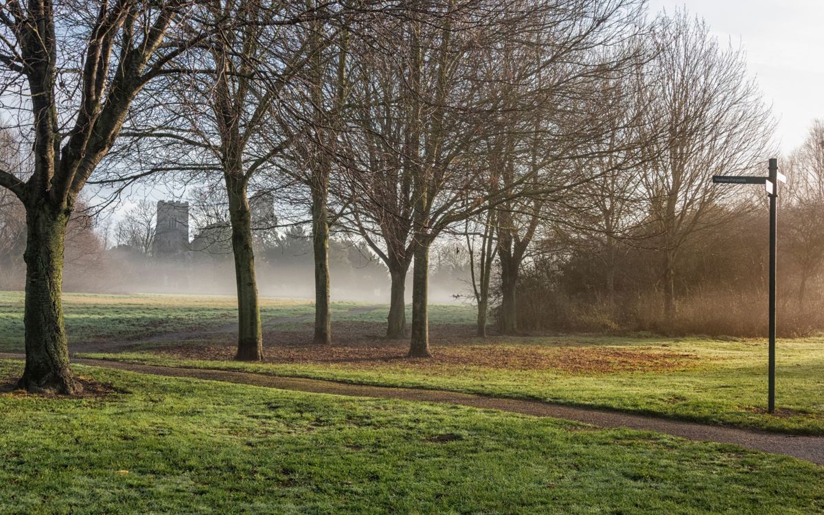 Misty autumn morning in the park with church in the background