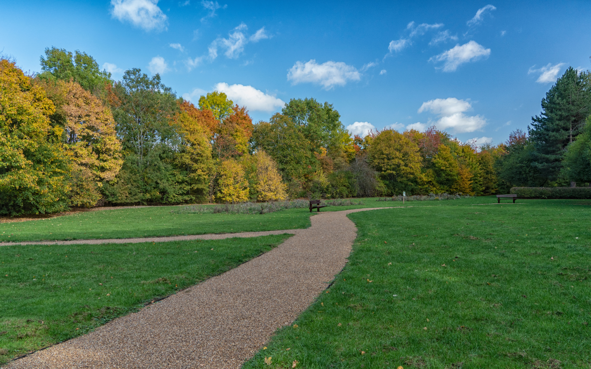 Meadow area with winding path