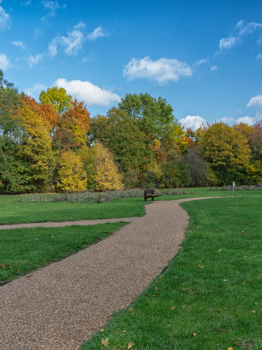 Meadow area with winding path