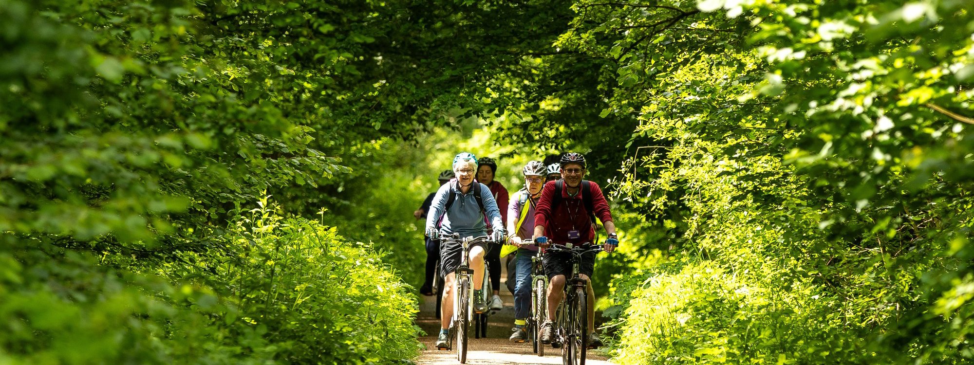 Cyclists in a woodland scene