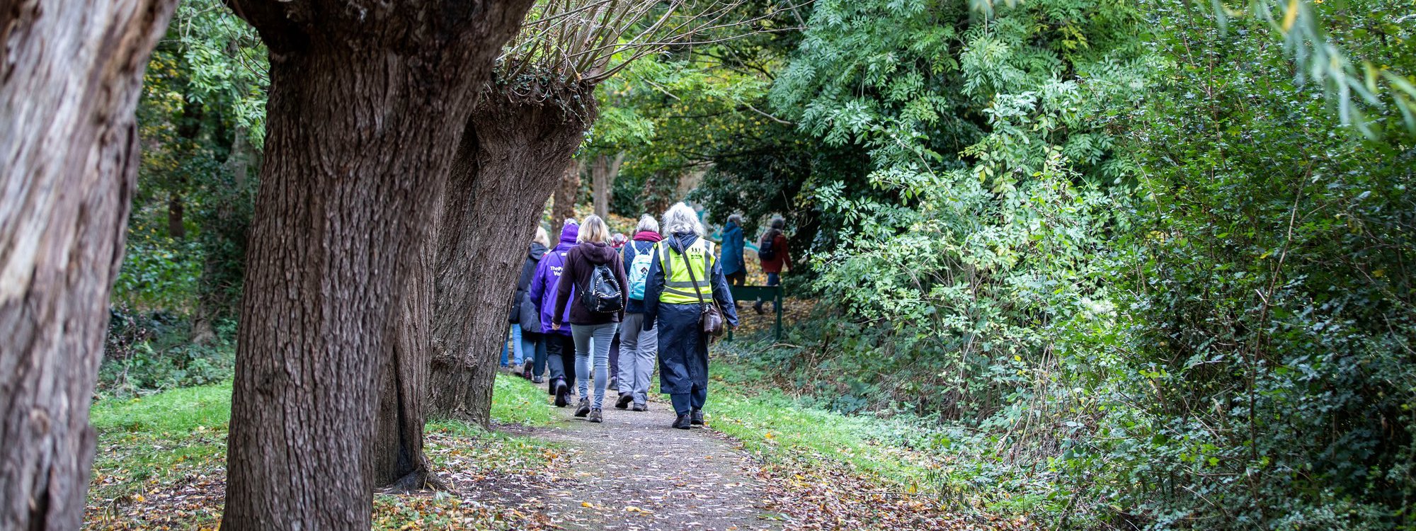 A group of women walking through parkland