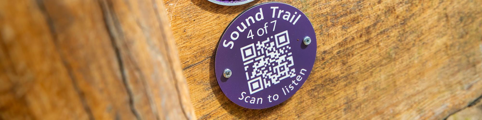 Butterfly rubbing disk and qr code scanner on bench