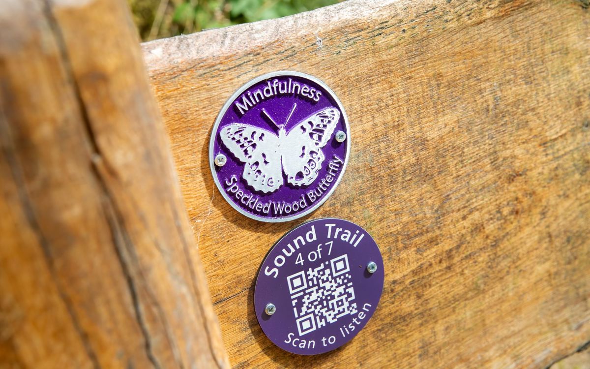 Butterfly rubbing disk and qr code scanner on bench
