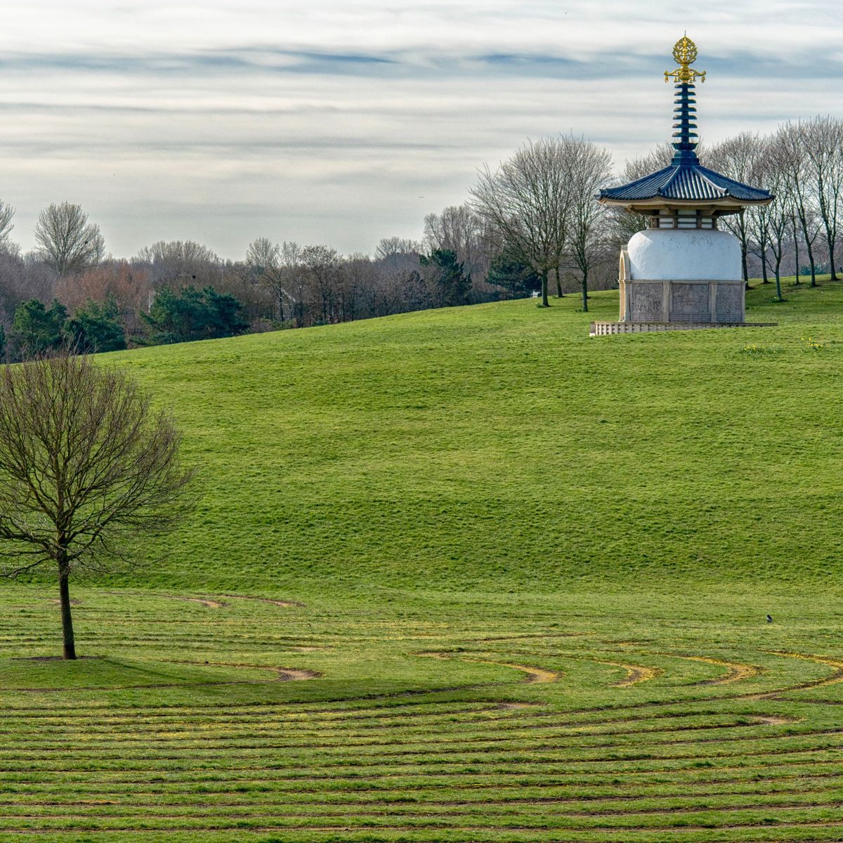 Park with labyrinth cut into grass with a tree in the middle and a Peace Pagoda building in background