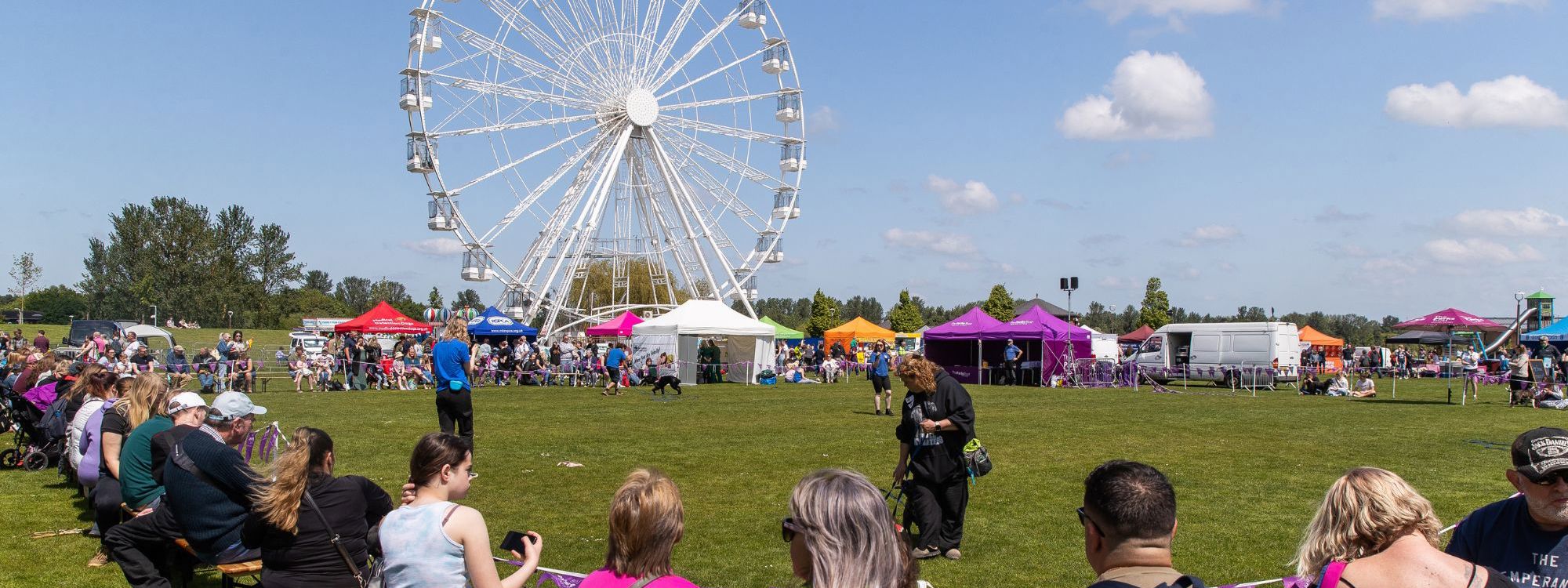 Audience watching dog show at Willen Lake with observation wheel in the background