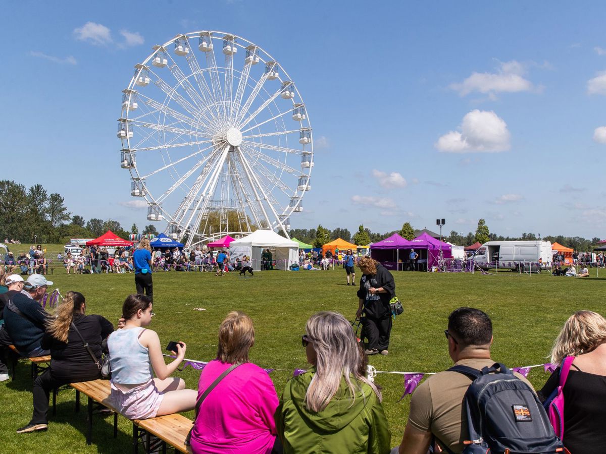 Audience watching dog show at Willen Lake with observation wheel in the background