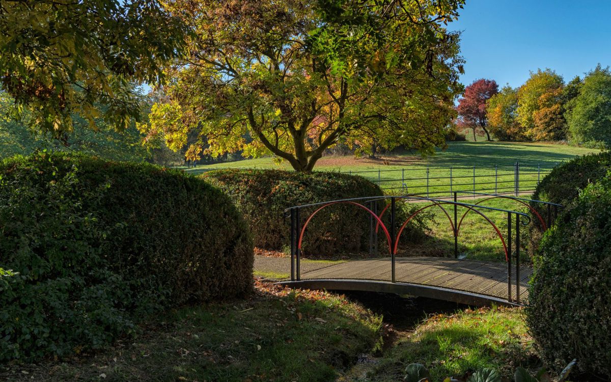 Bridge in park