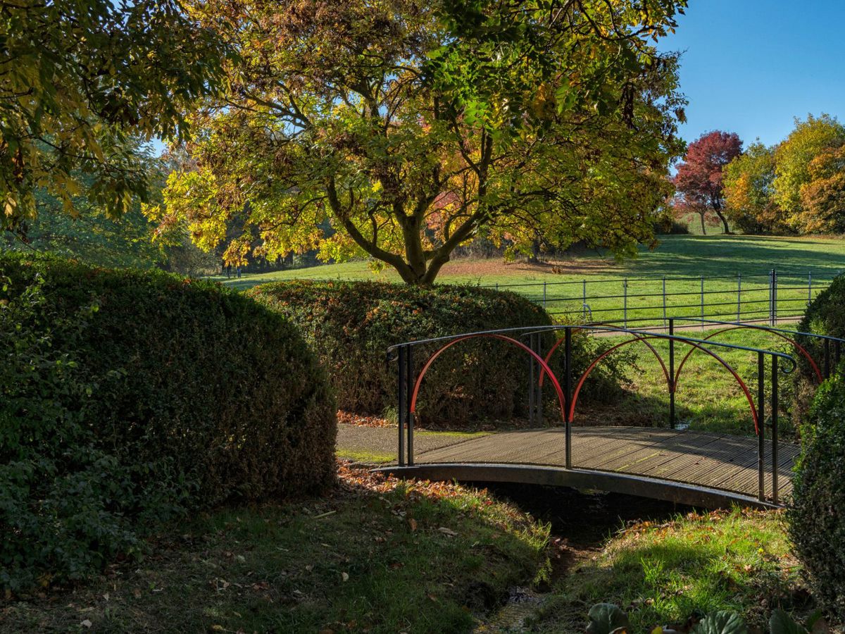 Bridge in park