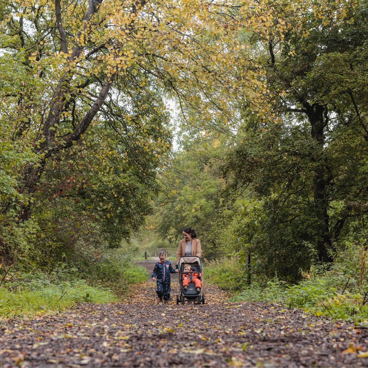 Mum with child and pushchair walking through wood in autumn