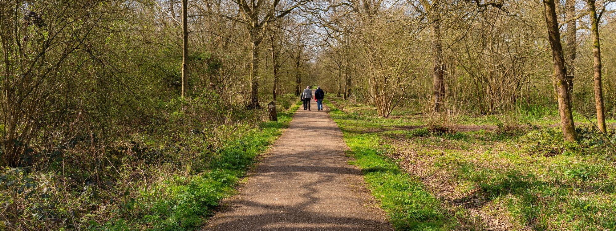 Pathway through Howe Park Wood