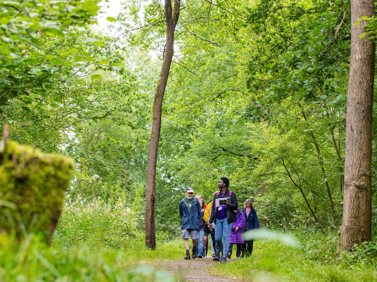 A group being guided through a green woodland on a walk.