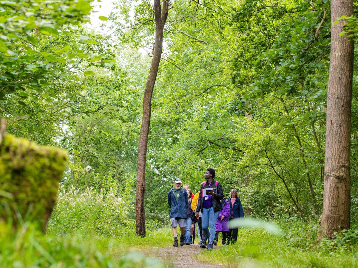 A group being guided through a green woodland on a walk.