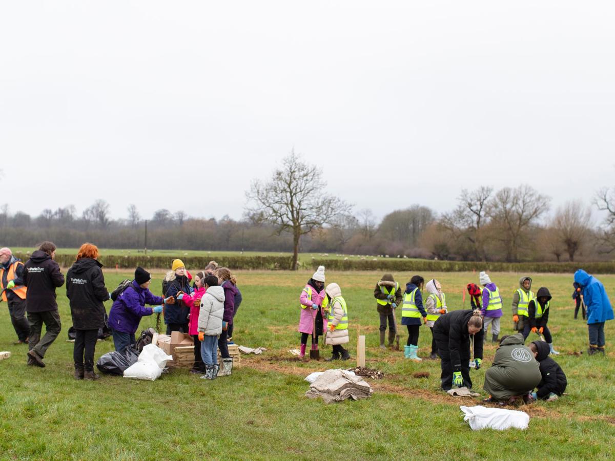 Group of people planting trees in meadow