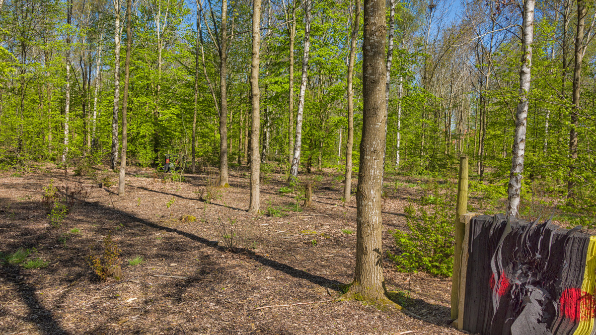 Archery boss at Hazeley Wood.