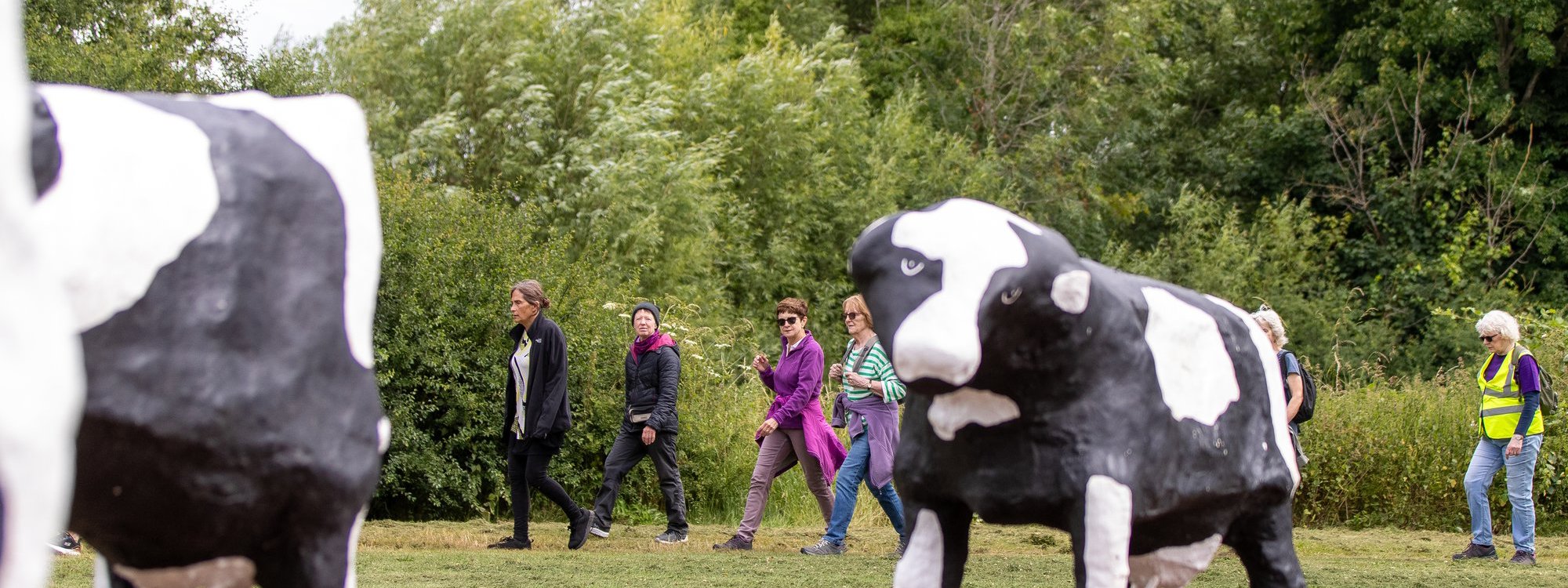 A guided walk behind the concrete cows at Loughton Valley Park