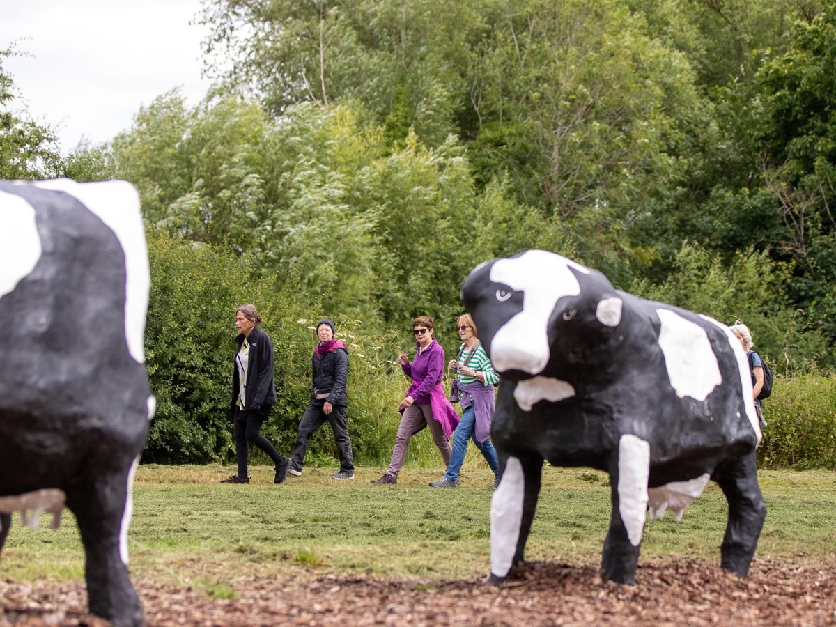 A guided walk behind the concrete cows at Loughton Valley Park