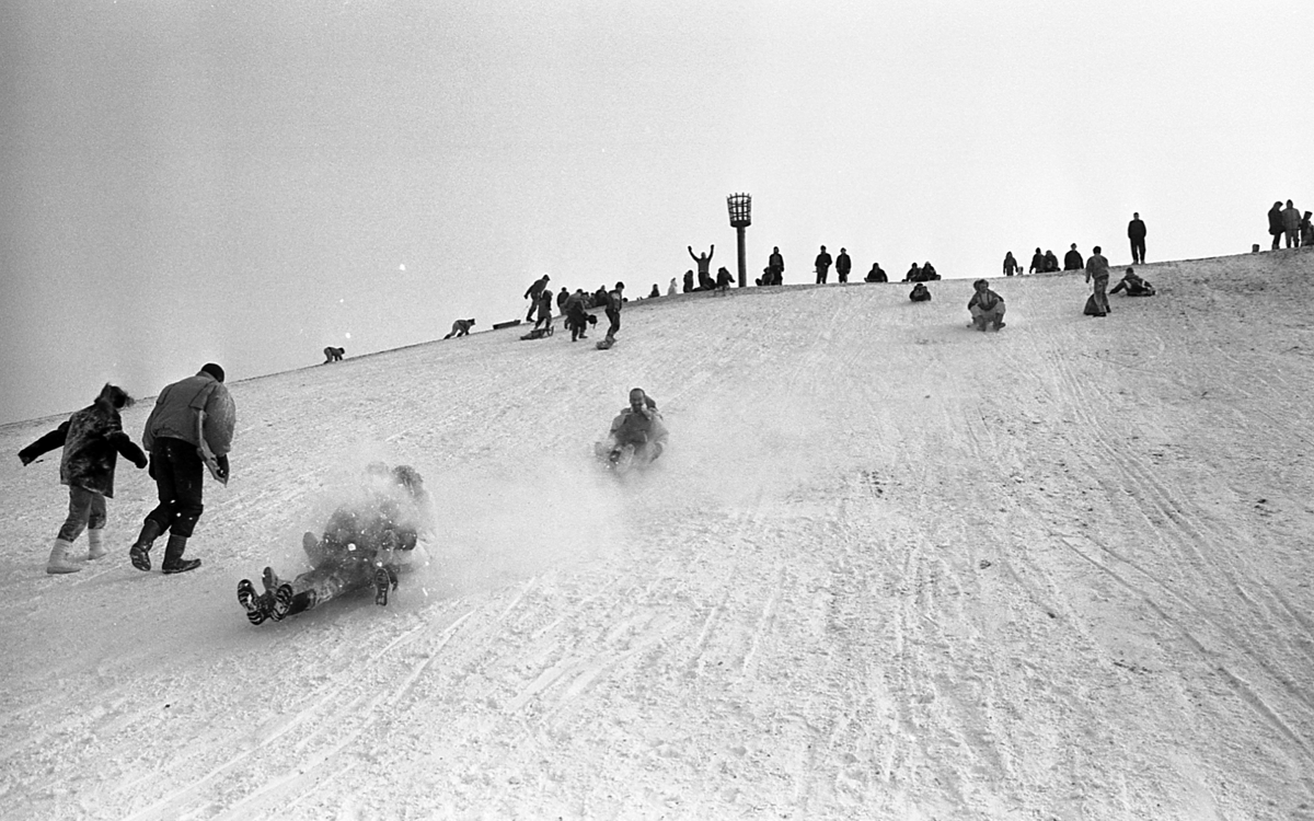 Black and white photo of children sledging down steep slope of Belvedere