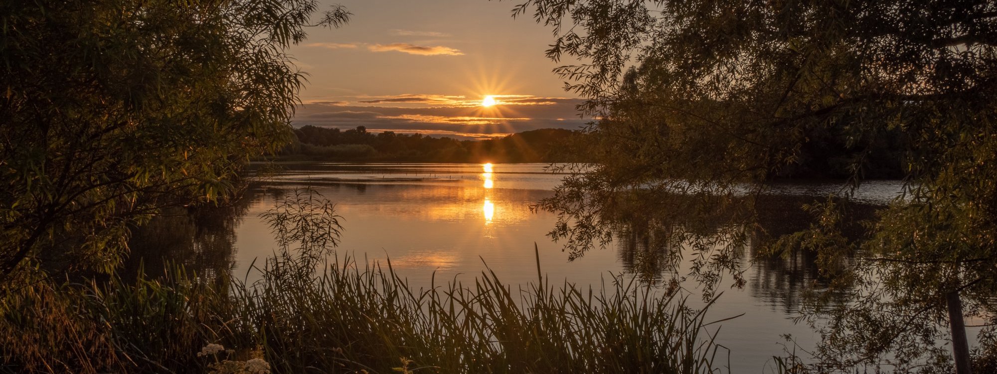 A sunset over the lake at dusk