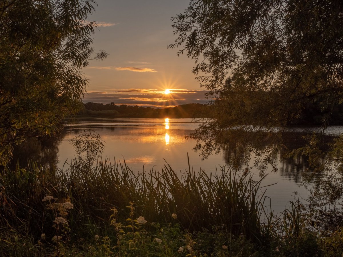 A sunset over the lake at dusk