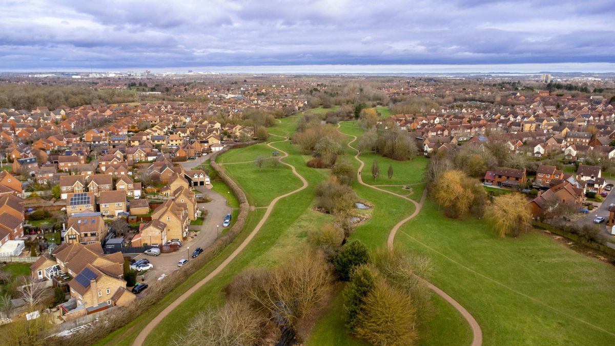 Drone photo of trees along Tattenhoe Valley Park