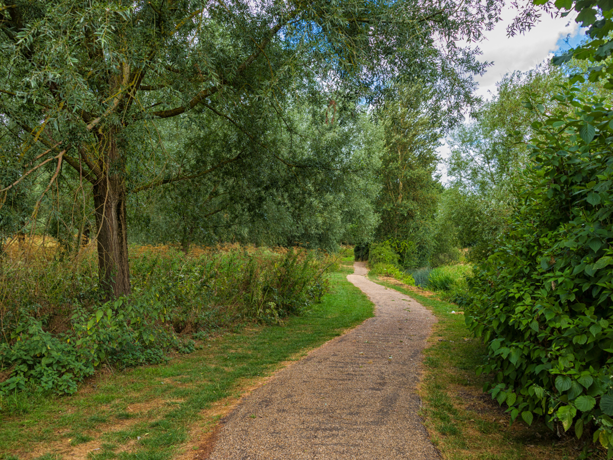 A footpath winding through grass and woodland