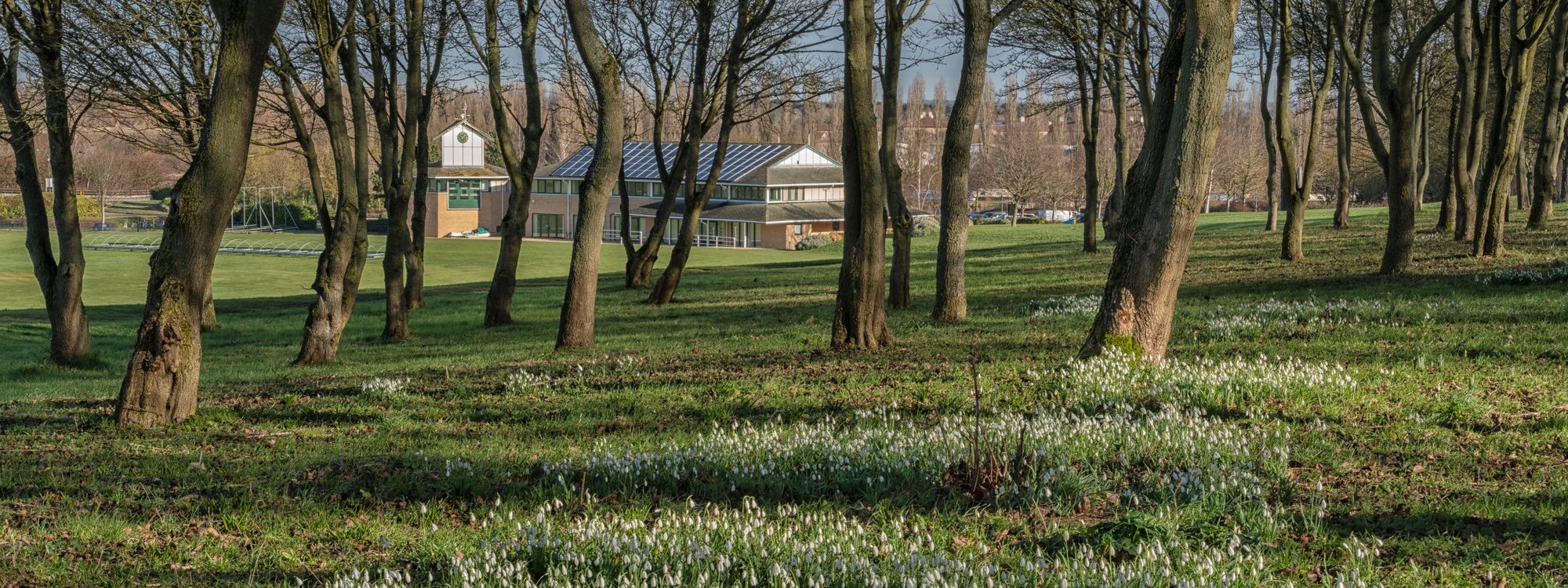 View of trees in Campbell Park, with snowdrops blooming in the ground. Campbell Park Pavilion is visible in the background.