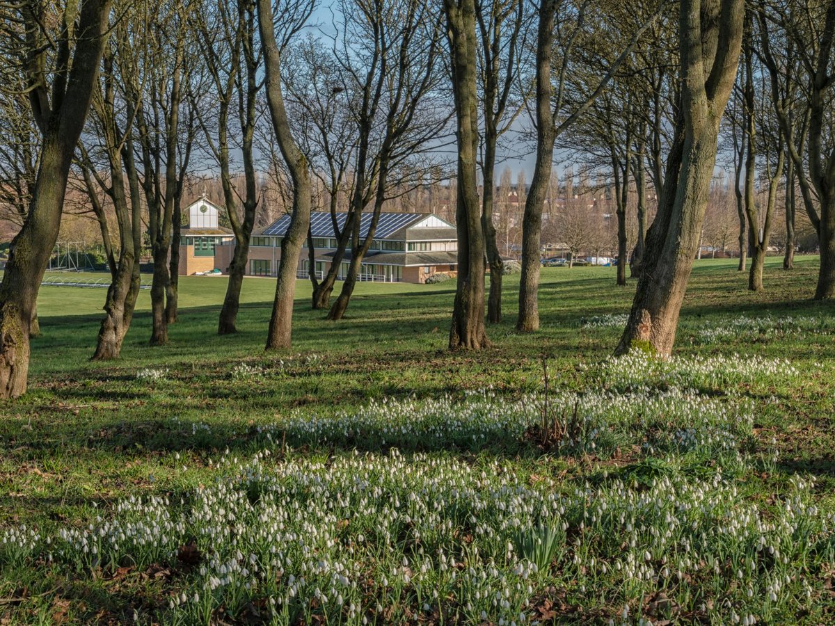 View of trees in Campbell Park, with snowdrops blooming in the ground. Campbell Park Pavilion is visible in the background.