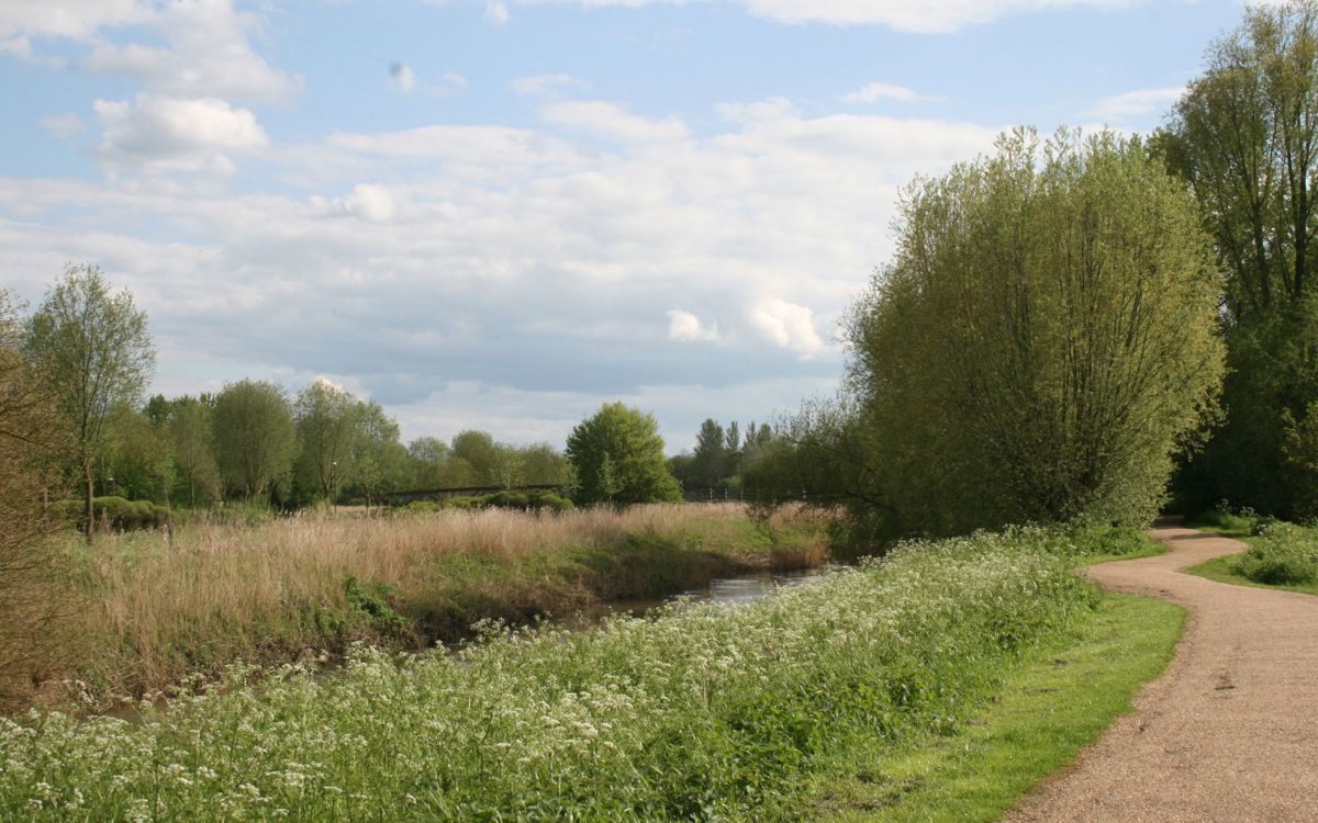 River valley in Milton Keynes in summer