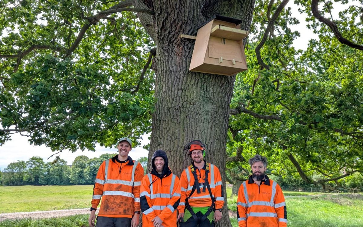 Direct works team in orange uniform stood under barn owl box on a tree