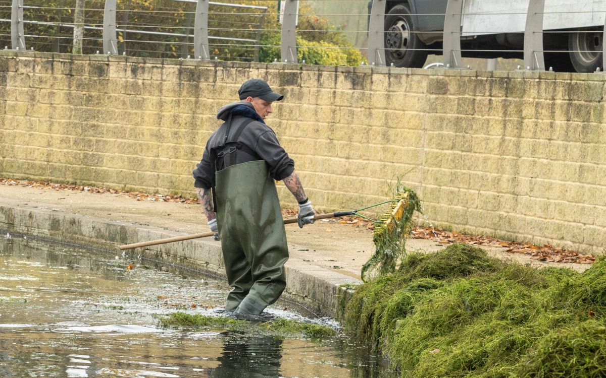 Litter cleansing officer in waders in Ashland Lake dredging the water from weed