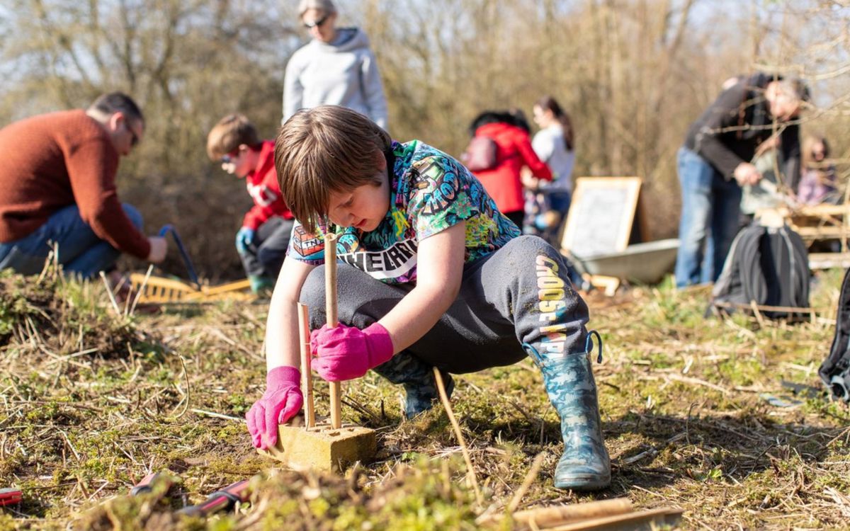 Child taking part in bug hotel building activity