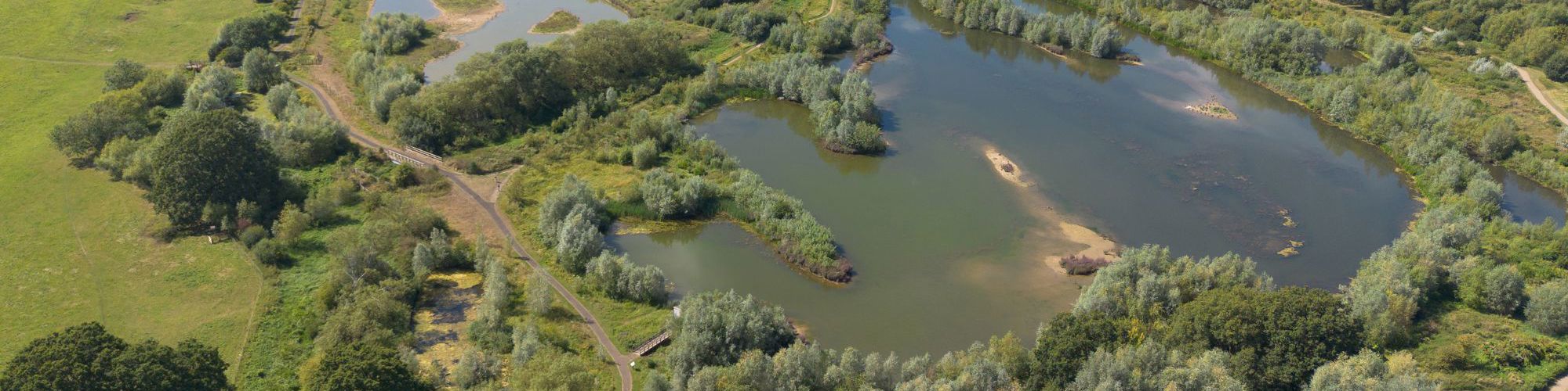 Drone shot of Floodplain Forest Nature Reserve